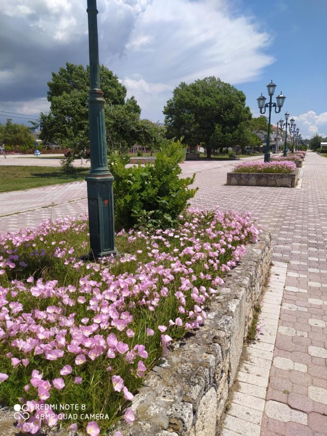 Апарт готель Hause Zorbas Паралія-Діонісіу Екстер'єр фото